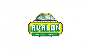 Avalon: Conventional